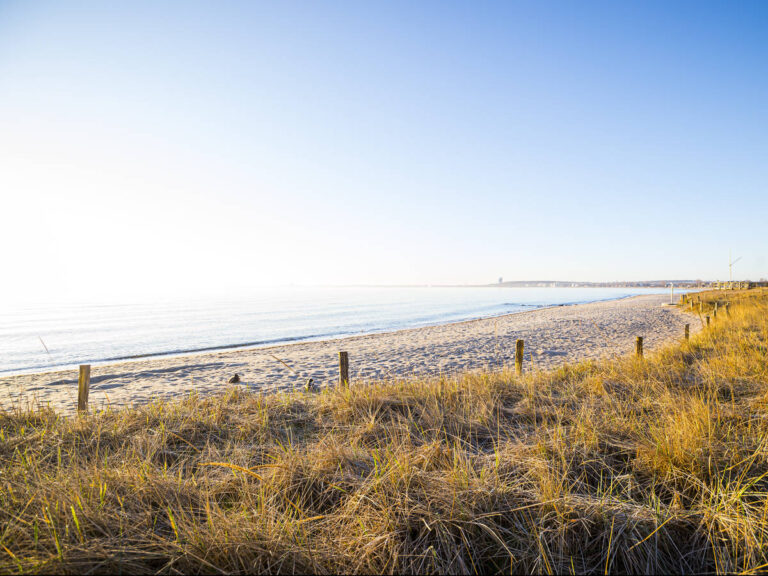 Strand in Haffkrug - ein spaziergang entfernt vom Ferienhaus "KleineDüne"