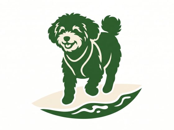 Maltipoo Hund am Hundestrand nahe Scharbeutz und Haffkrug.